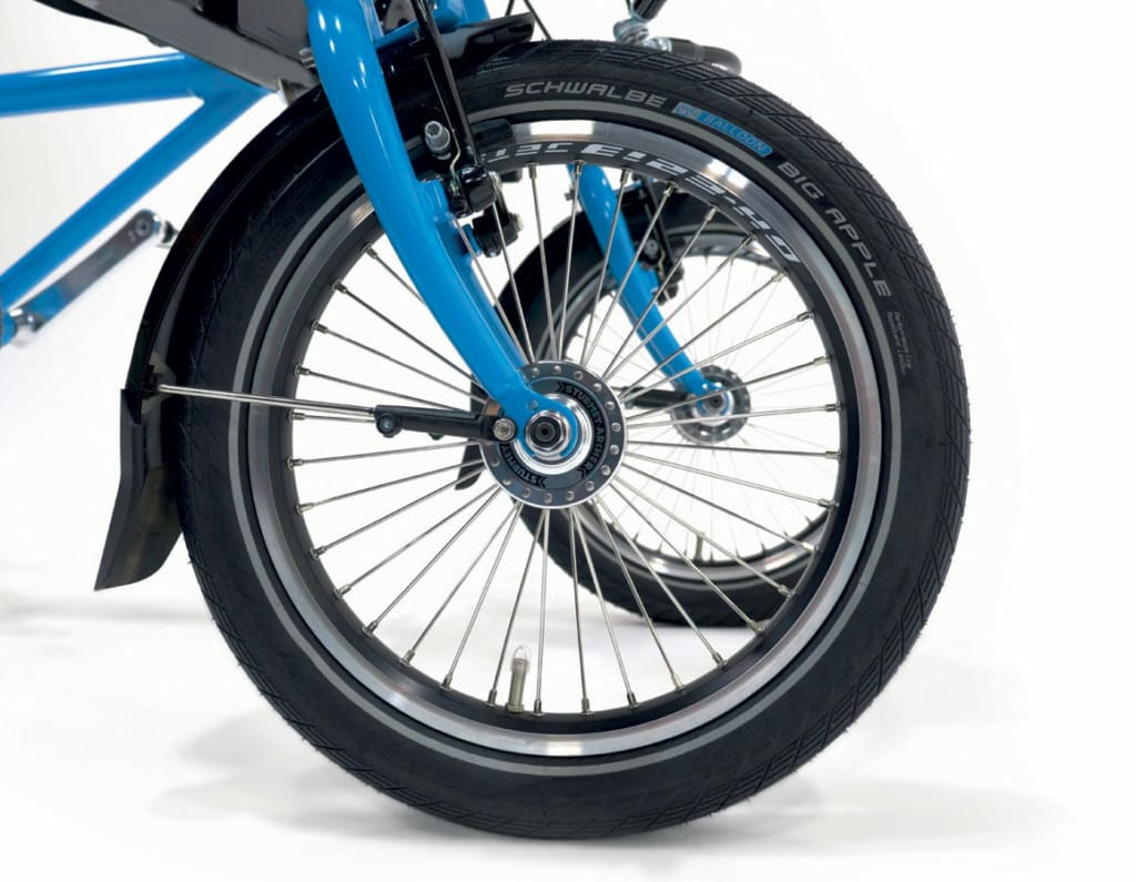 Bicicletta Elettrica Tre Ruote Basculanti. Triciclo Cargo Inclinabile per  Adulti