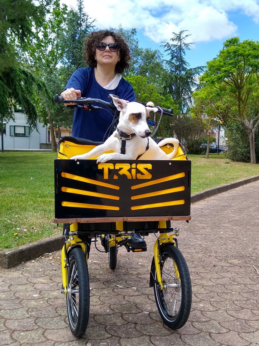 triciclo basculante per adulti